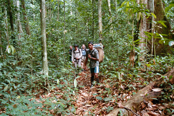 Rio Negro Rainforest Experience