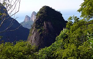 Tijuca National Park Hiking Tour, Rio de Janeiro