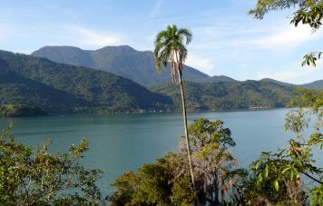 Rio de Janeiro's Green Coast