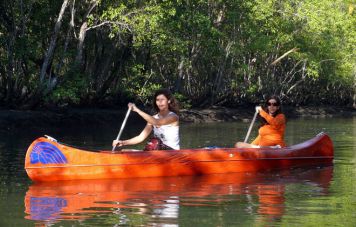 Paddling through the mangroves