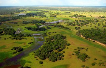 The Pantanal with Vazante Castelo (Nhecolandia)