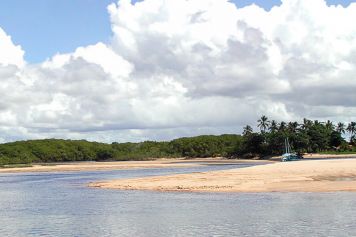 Beach at Ponta de Corumbaú