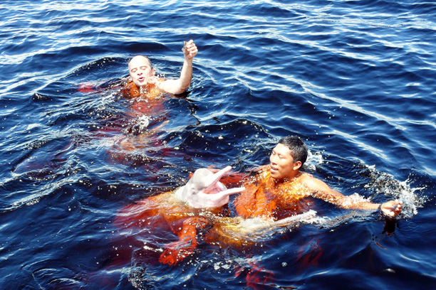 Swimming with pink river dolphins