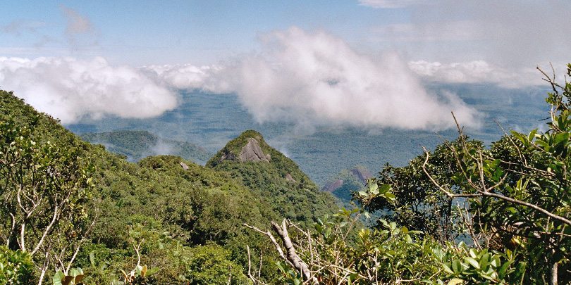 View from Bela Adormecida Mountain over the endless Amazon rainforest