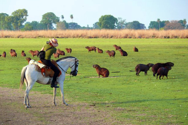 Reiten in Brasilien