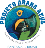 Projeto Arara Azul